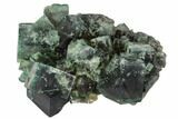 Fluorescent, Green, Fluorite Crystal Cluster - Rogerley Mine #106106-1
